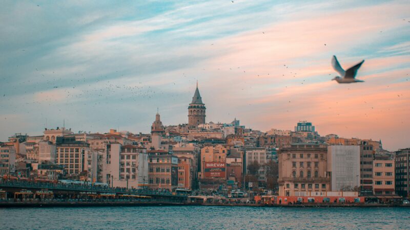 Galata Tower at sunset over the Golden Horn, Istanbul, with seagulls flying