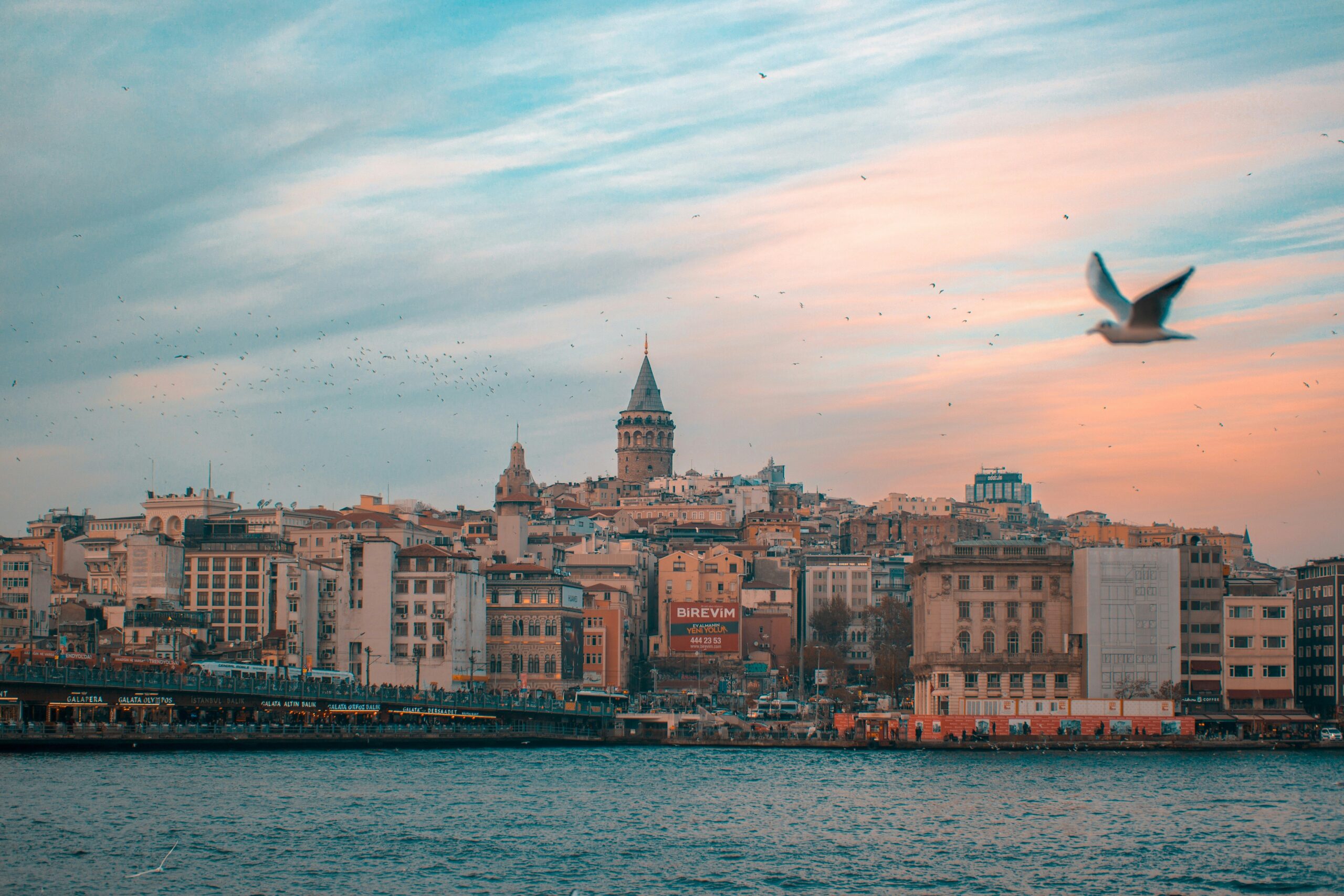Galata Tower at sunset over the Golden Horn, Istanbul, with seagulls flying