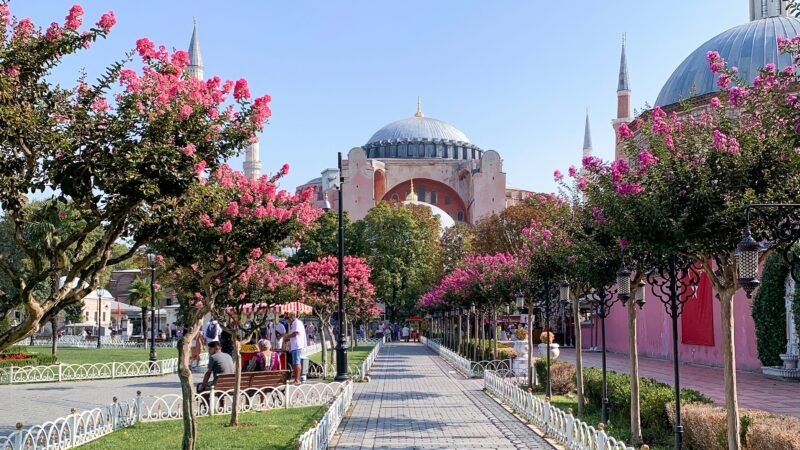Beautiful view of Hagia Sophia in Istanbul, Turkey, seen from a flower-lined pathway in the park on a sunny day.